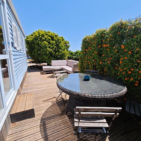 Casa Azul-Tiny House With Fantastic View, Big Outdoor Space And Pool Silves Exteriér fotografie