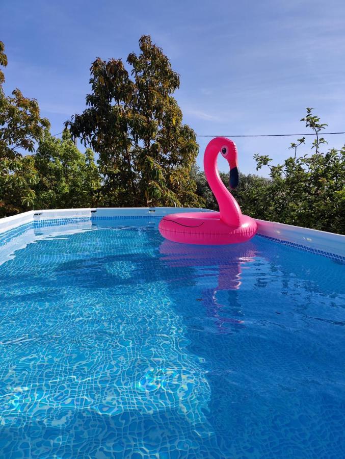 Casa Azul-Tiny House With Fantastic View, Big Outdoor Space And Pool Silves Exteriér fotografie